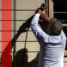 Best Custom Siding Design  in International Falls, MN